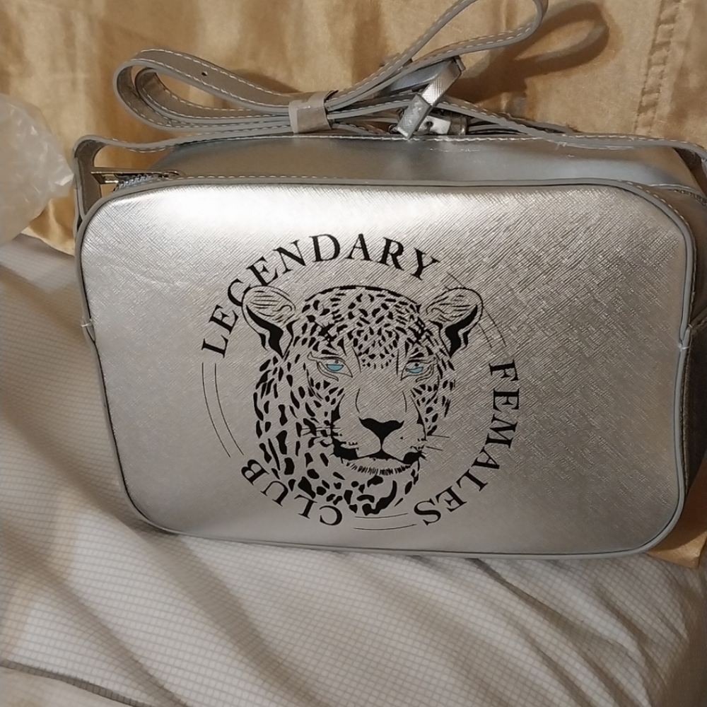 Silver Bag